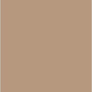 2REA 15 DEN üvegszálas beige bokafix 2 pár