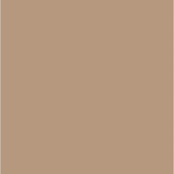 2REA 15 DEN üvegszálas beige bokafix 2 pár 